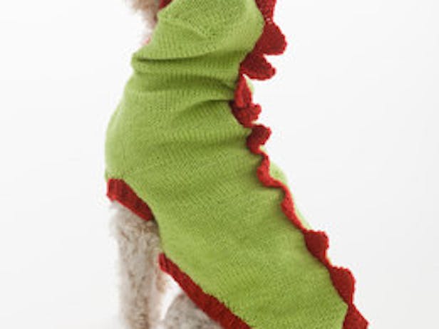 Dragon Slayer Dog Sweater