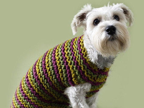 Knit with Alice: The Juno Jumper 