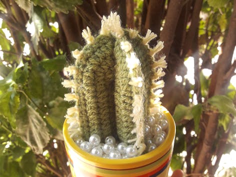 Crochet candelabra cactus
