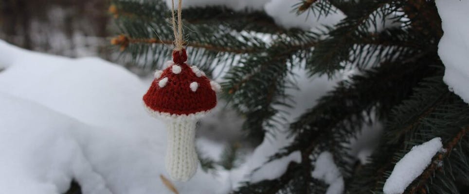 12 totally magical toadstool patterns