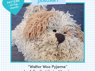 Walter Woo Pyjama / Hot Water Bottle Case / Novelty Cushion Cover