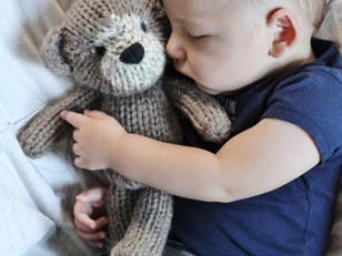 Theodore the Teddy Bear