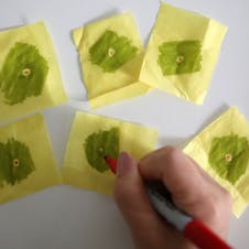 Paper poinsettia step 1