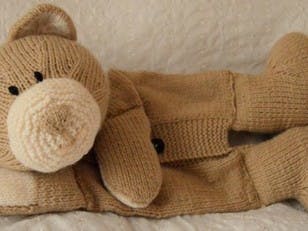 All Bear One Pyjama Case