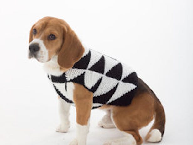 Modernist Dog Sweater
