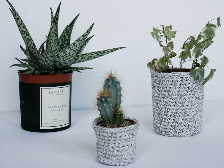 Crochet a plant pot cover!