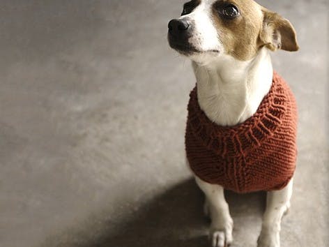 Knit with Alice: The Juno Jumper
