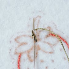 chain stitch strawberry embroidery patch