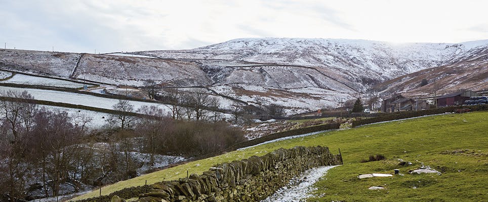Rowan patterns and yarns