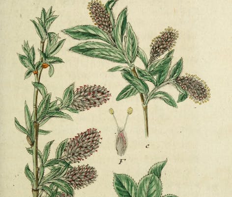 Biodiversity 2
