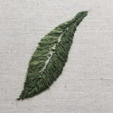 step 6