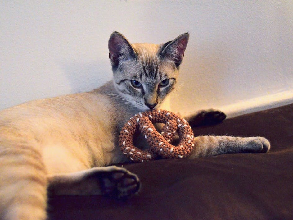 We love: crochet pet patterns