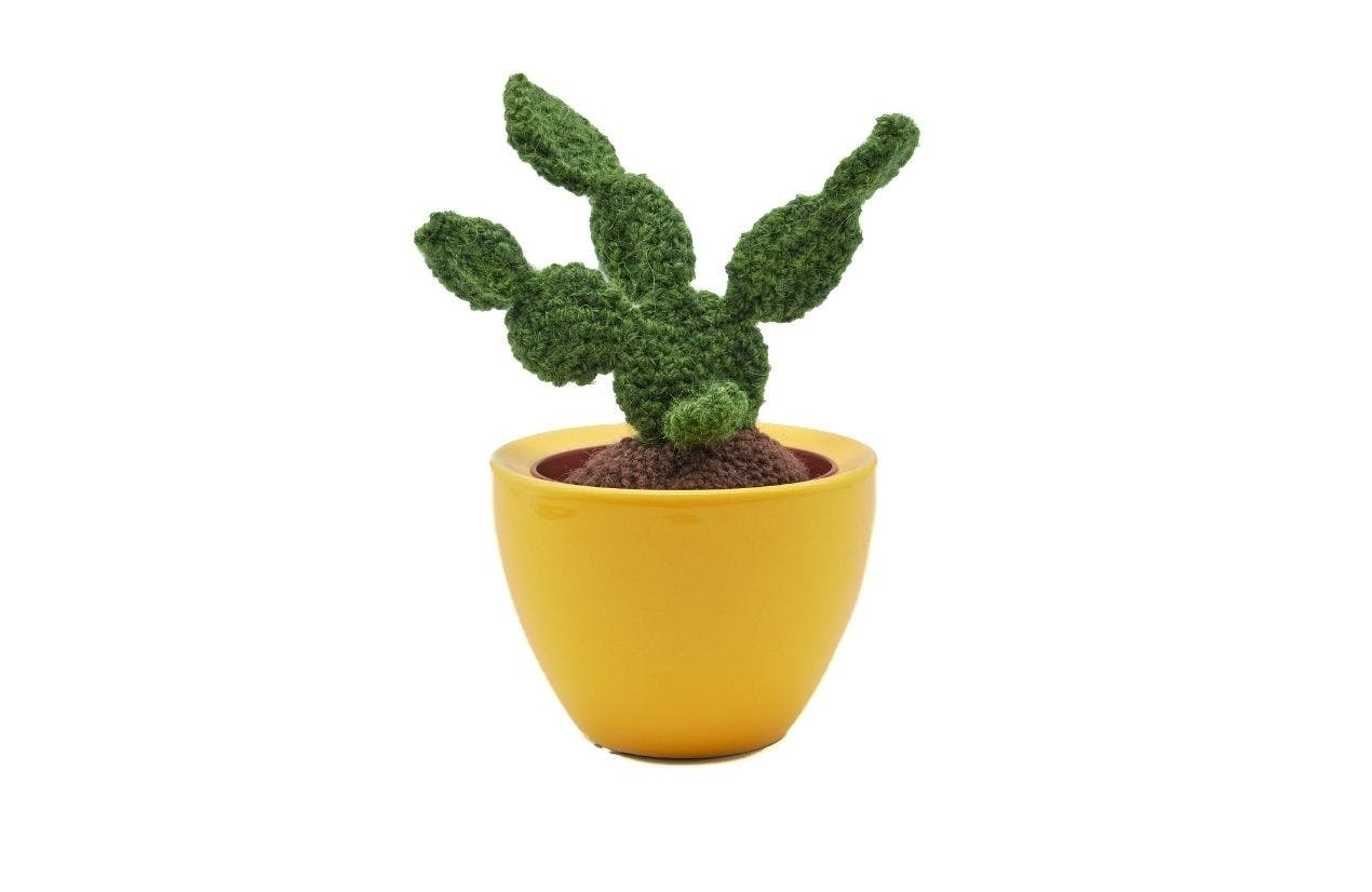 Never worry about overwatering again with these cute handmade