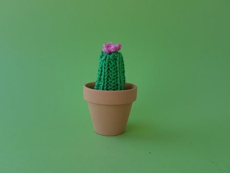 How to knit a cactus