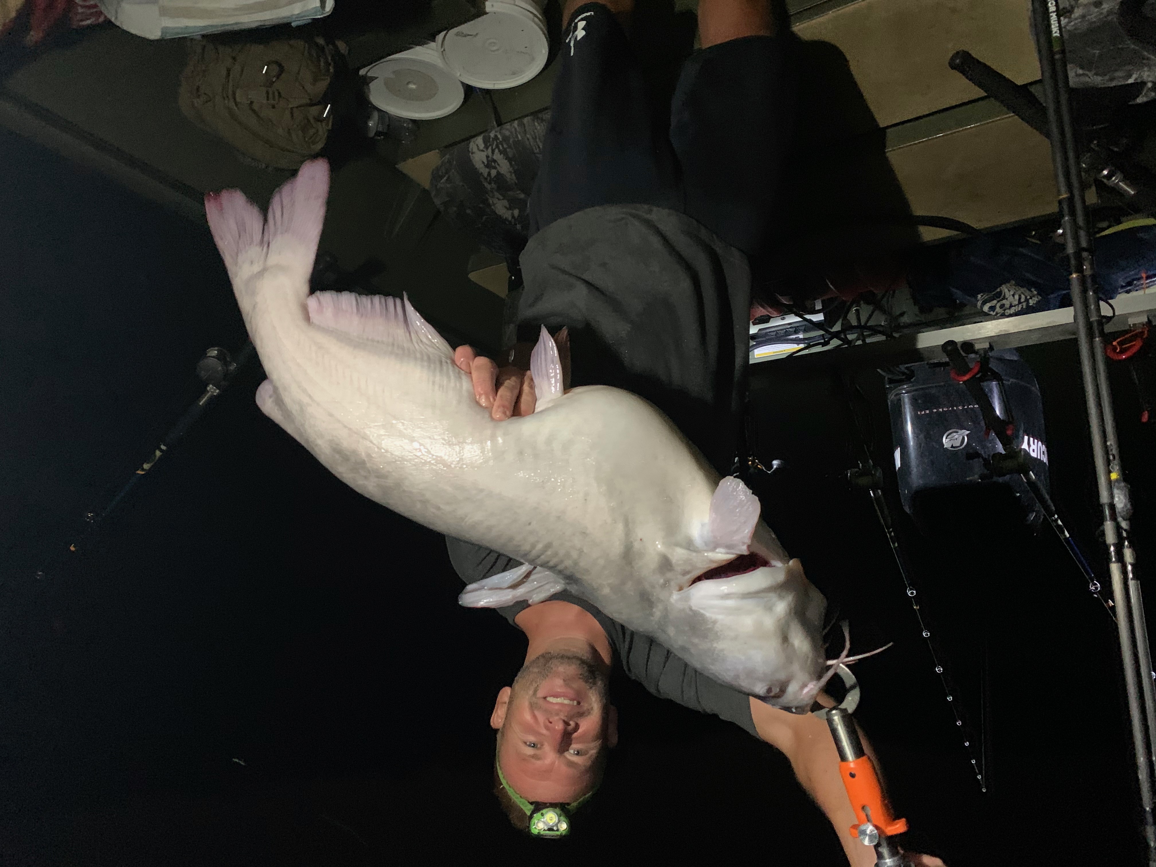 Catfish Guide on Kentucky Lake - Loveless Outdoor Adventures