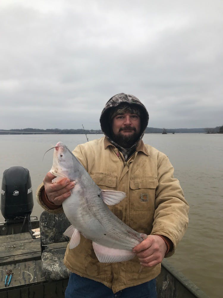 Catfish caught while on a guided trip with Loveless Outdoor Adventures
