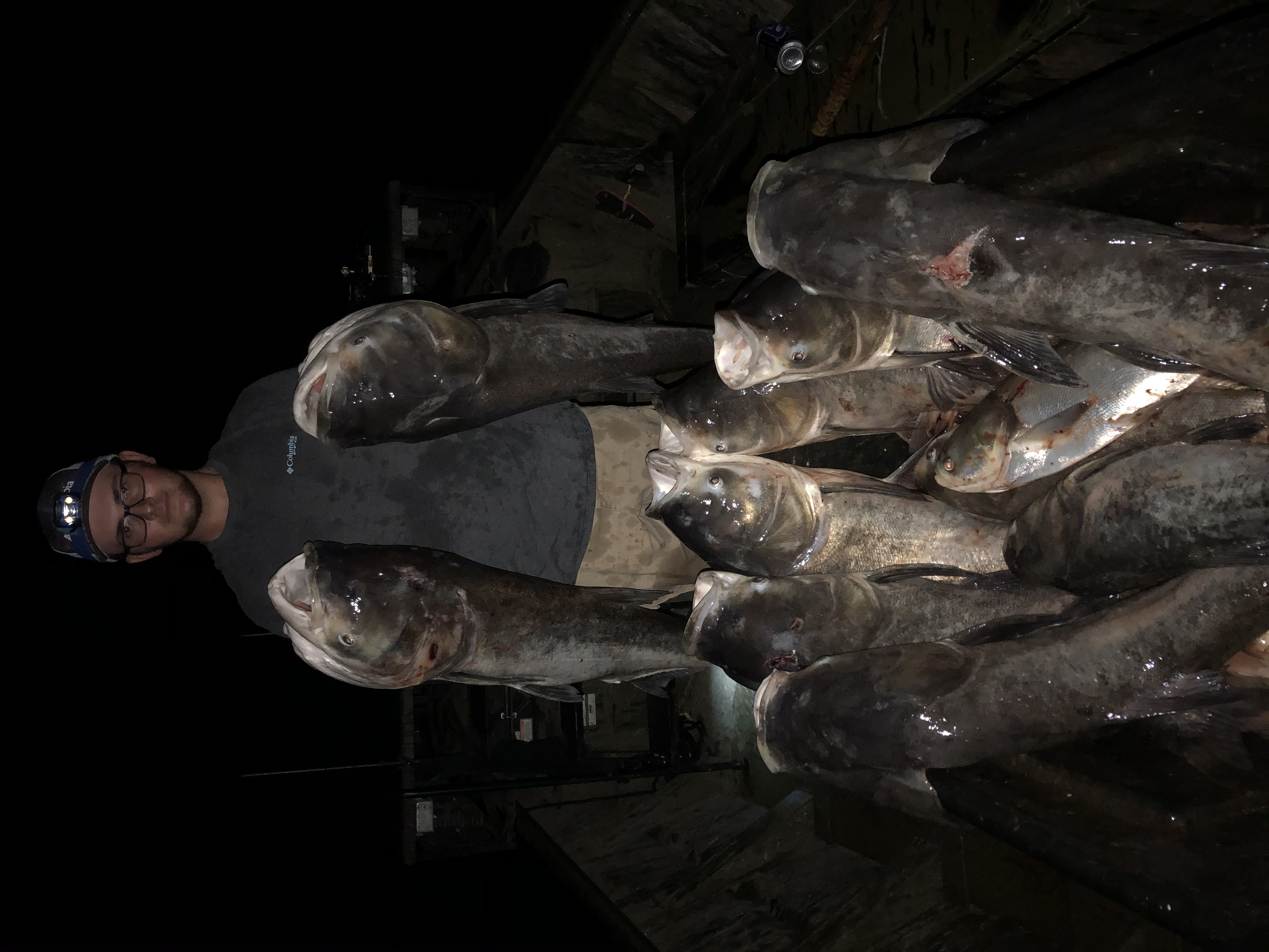 Bowfishing Guide on Kentucky Lake - Loveless Outdoor Adventures