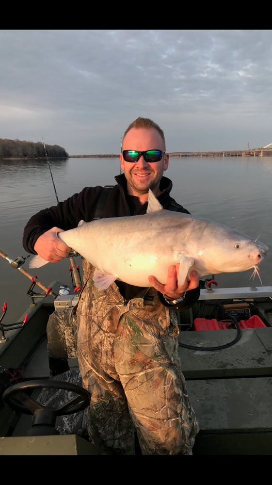 Huge catfish caught by Damian Loveless on Kentucky Lake