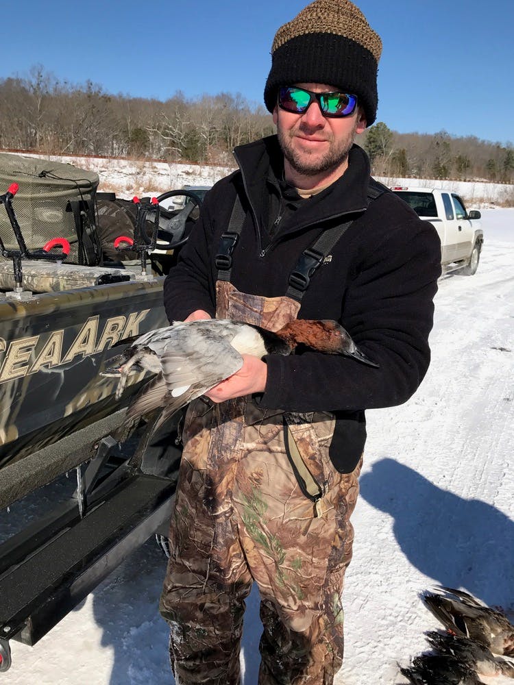 Duck killed on Kentucky Lake with Loveless Outdoor Adventures