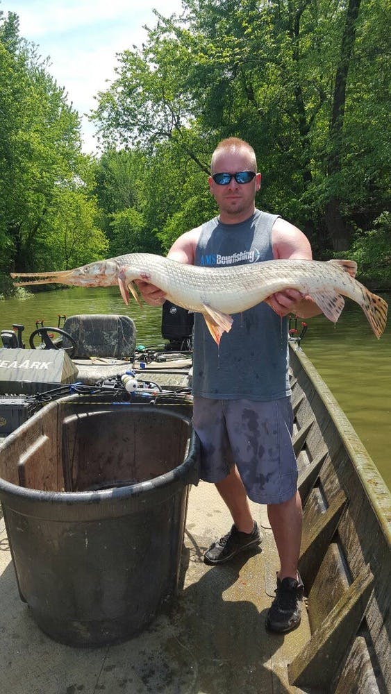 Loveless outdoor adventures on Kentucky Lake snags and alligator gar