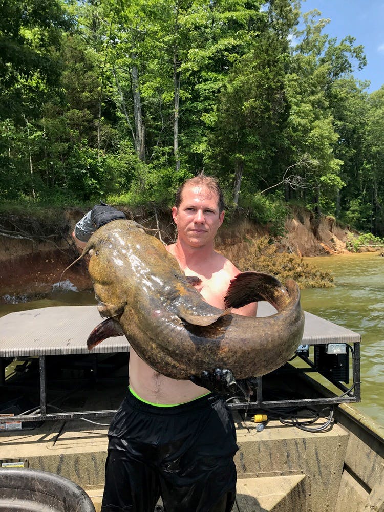 Large Catfish caught noodling on Kentucky Lake with Lovless Outdoor Adventures