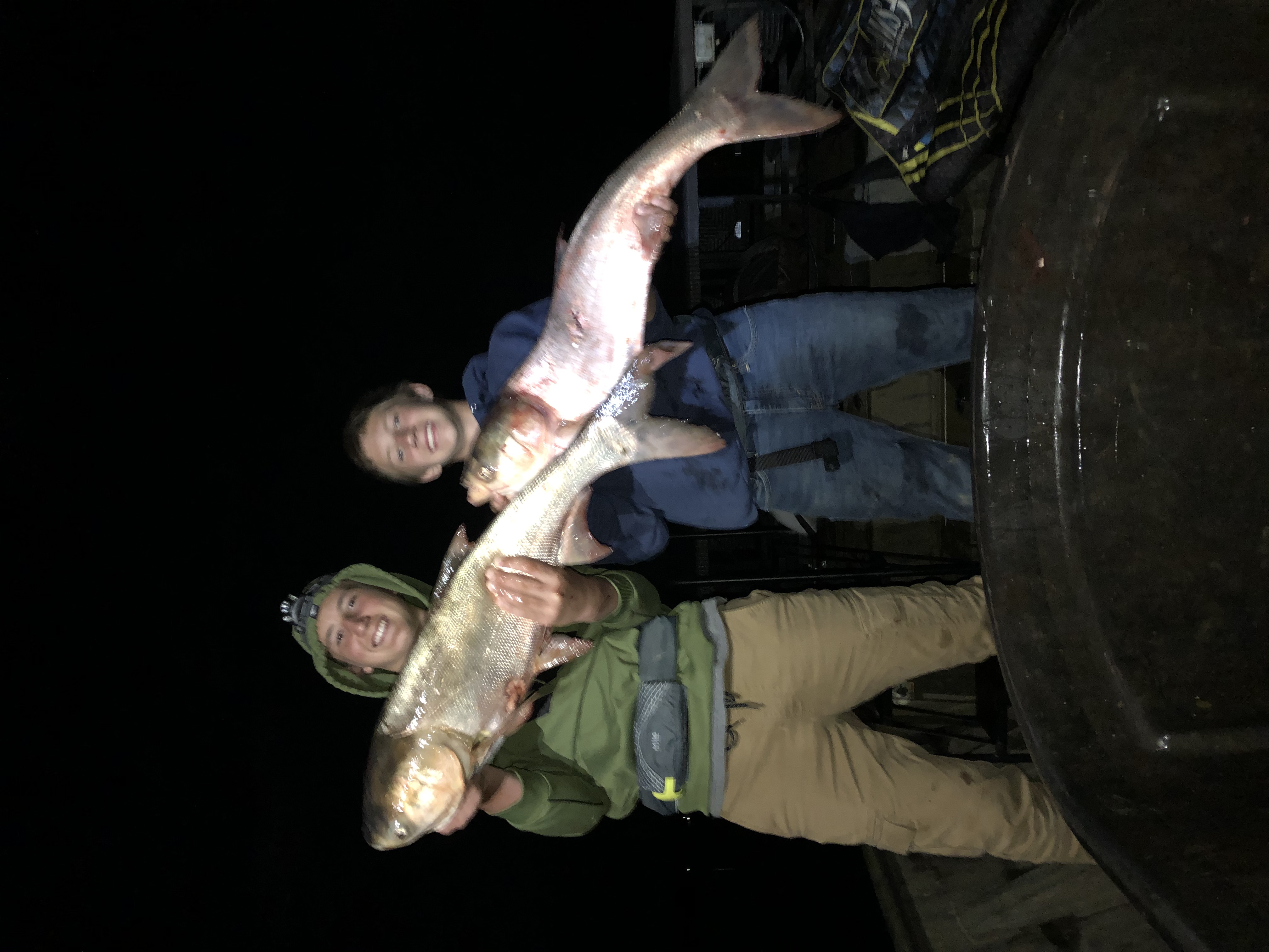 Bowfishing Guide on Kentucky Lake - Loveless Outdoor Adventures