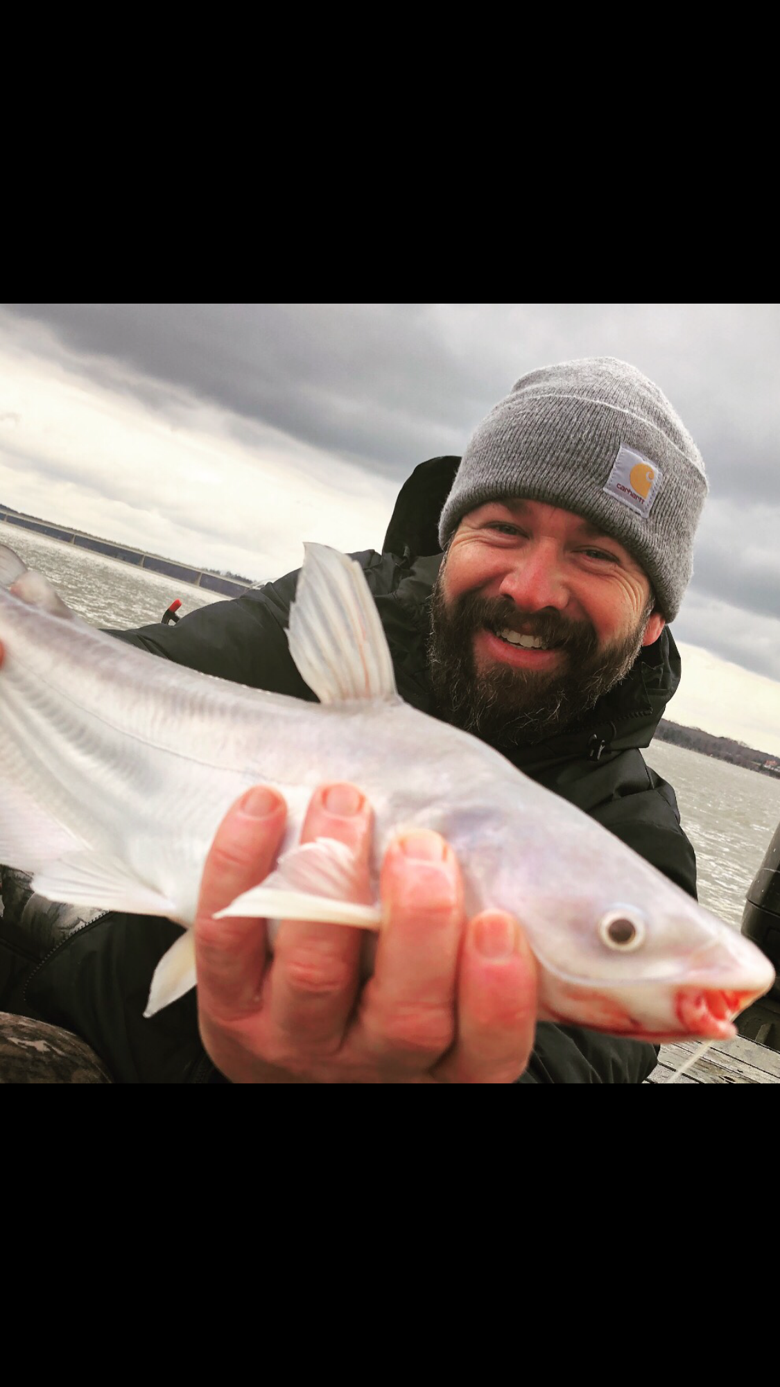 Catfish Guide on Kentucky Lake - Loveless Outdoor Adventures