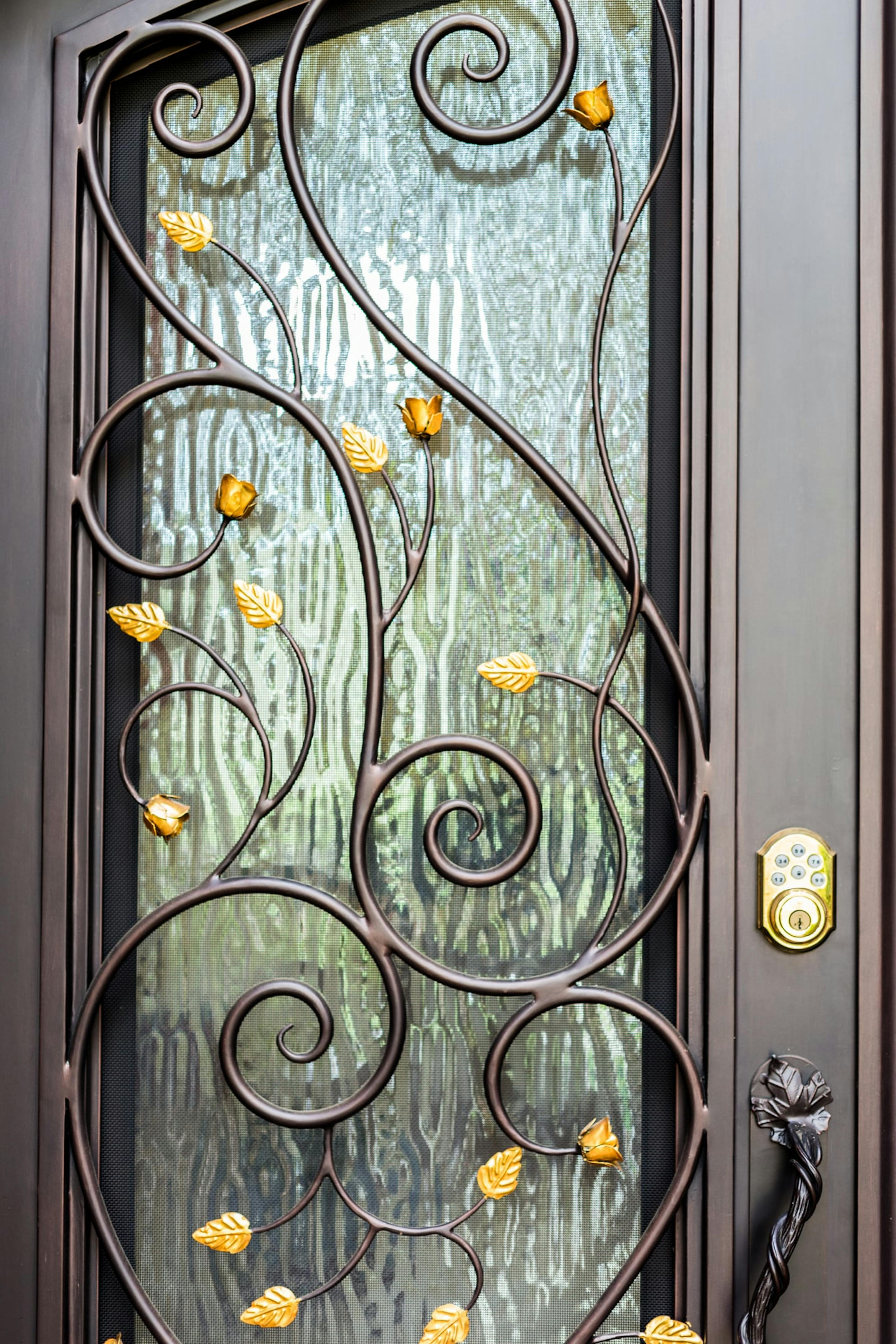 Iron door with elegant curves and intricate metalwork details