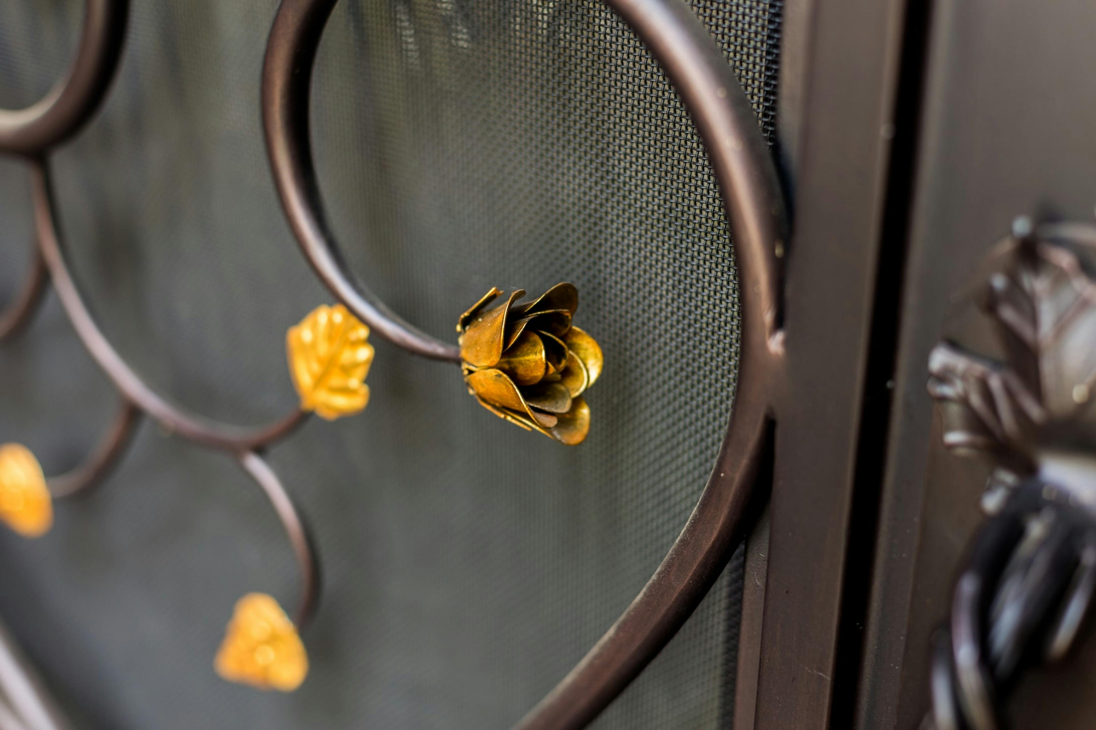 Iron door with double sidelights for added natural light and curb appeal