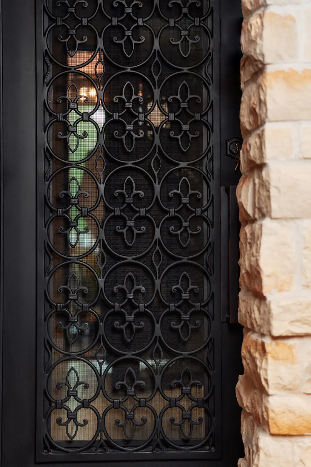 Single Entry Iron Doors | Love That Door