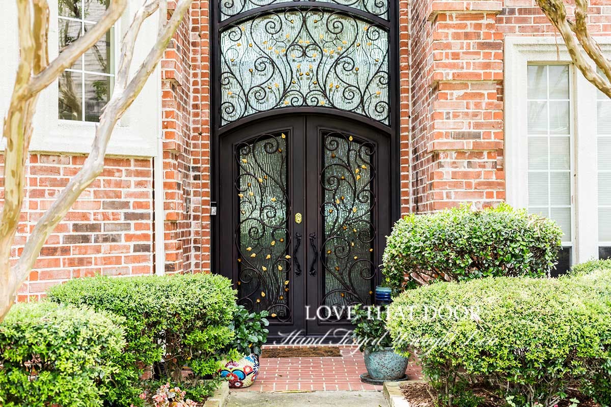 Wrought Iron Door with Transom by Love That Door 38