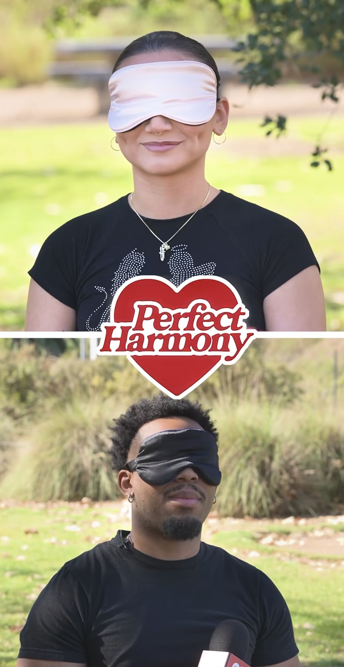 Perfect Harmony