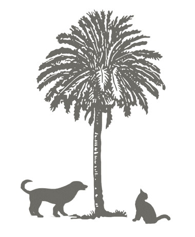 palm_tree_anim