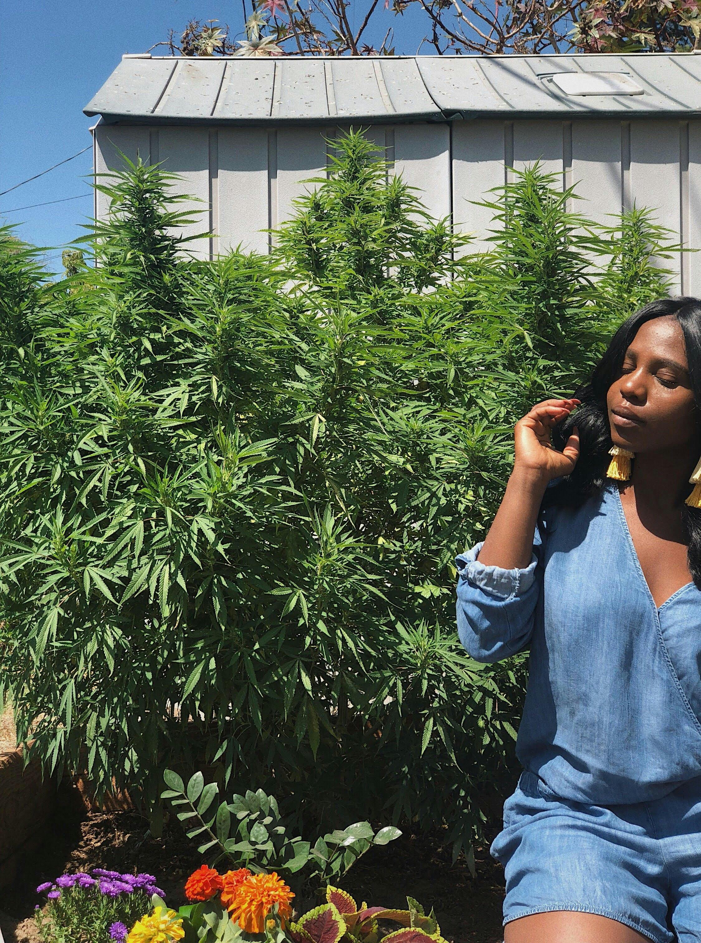 The Farm-to-Table Approach to Conscious Cannabis Consumption