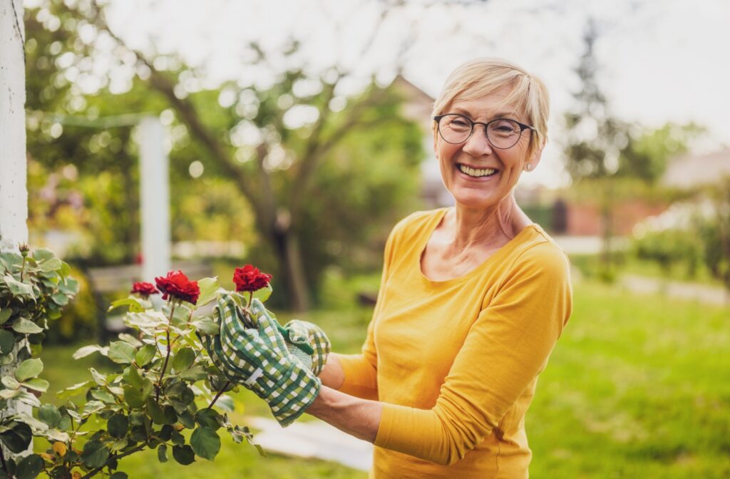 A smiling older woman tends to blooming roses while enjoying time outdoors in her garden.