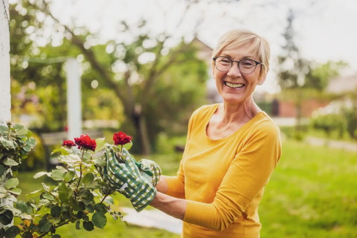 A smiling older woman tends to blooming roses while enjoying time outdoors in her garden.