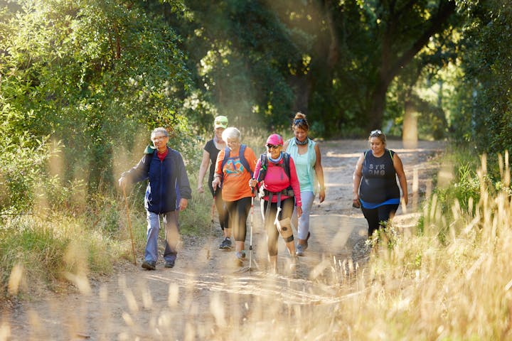 Nature, walking and senior group hiking in forest for exercise, health and wellness with cardio outdoor workout. Fitness, healthy and elderly friends or retirement club trekking on path in the woods