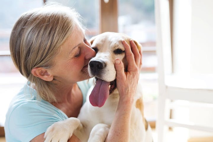 An older woman gently cuddles and kisses her happy dog, capturing a warm moment of love, companionship, and comfort between them.