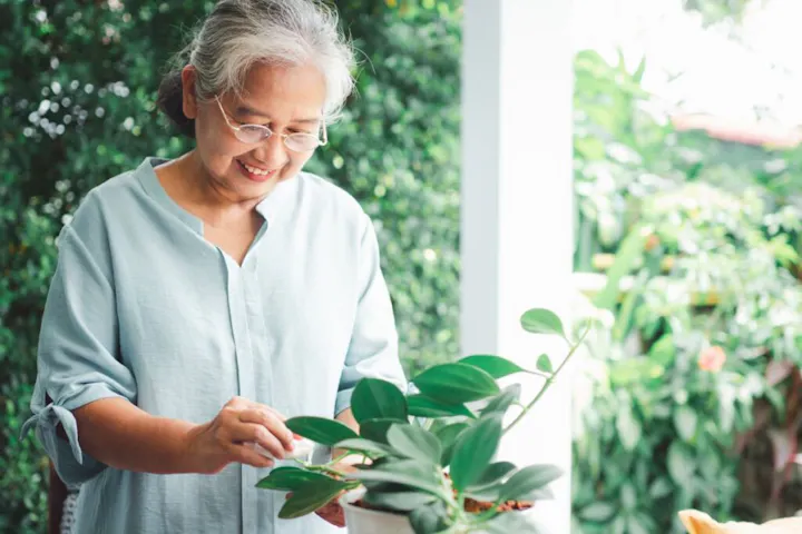 An older woman smiles gently while caring for a lush green houseplant in a bright, peaceful garden setting.