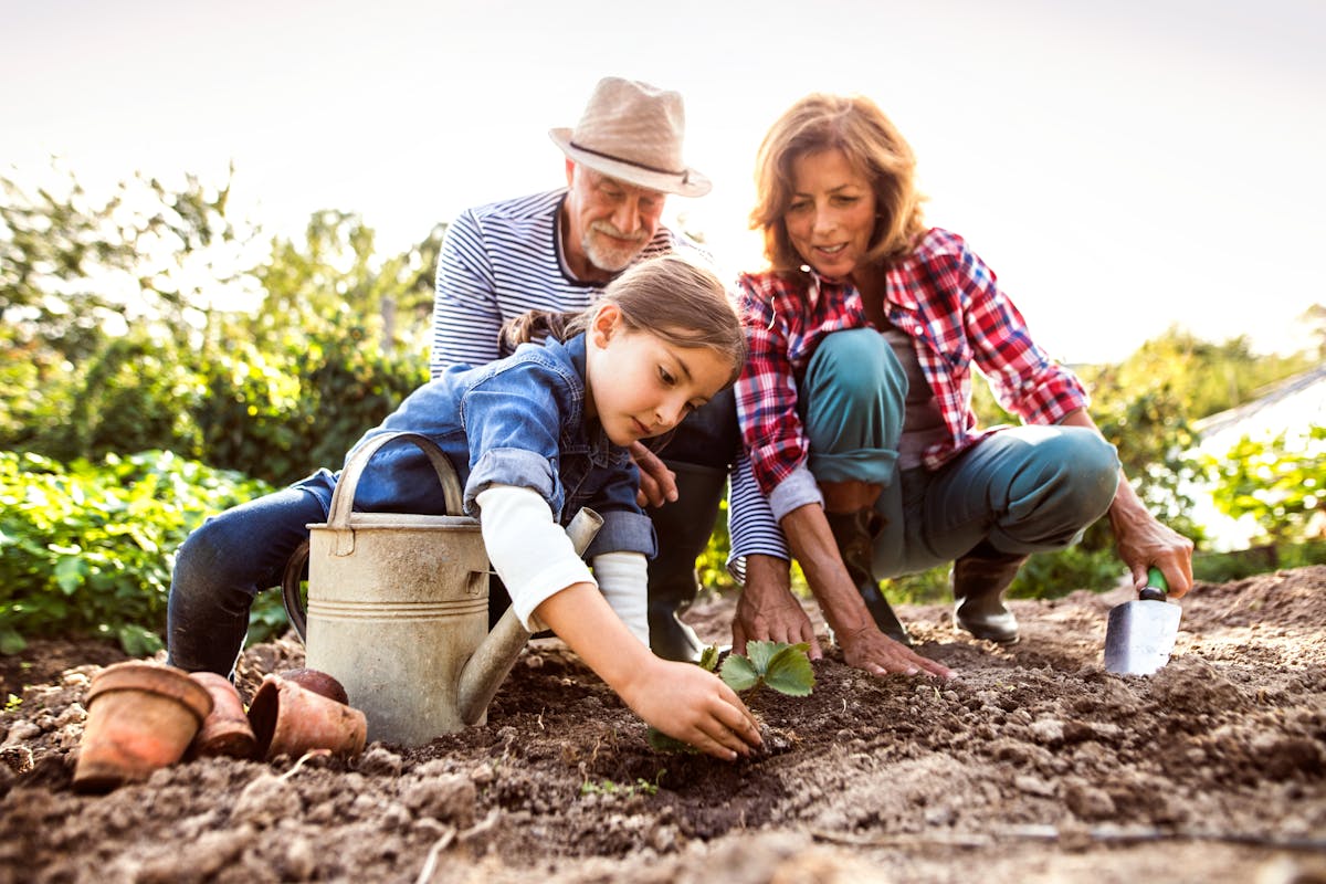 Senior couple with granddaughter gardening in the backyard garden