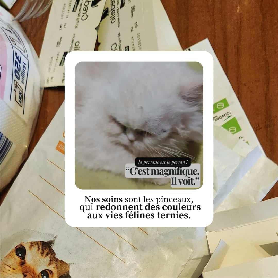 Nos soins sont les pinceaux, qui redonnent des couleurs aux vies félines ternies.