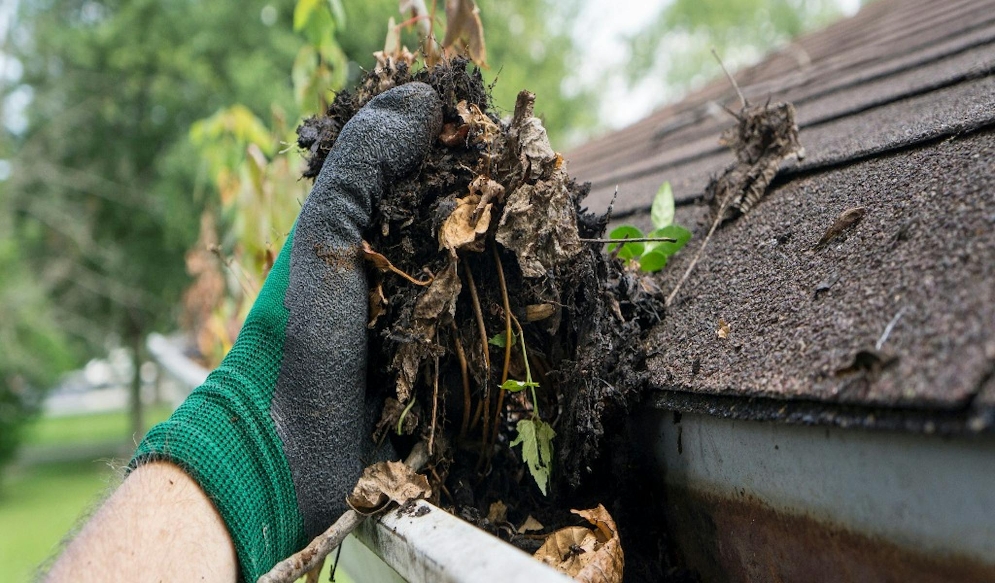 man die goot van tuinhuis proper maakt