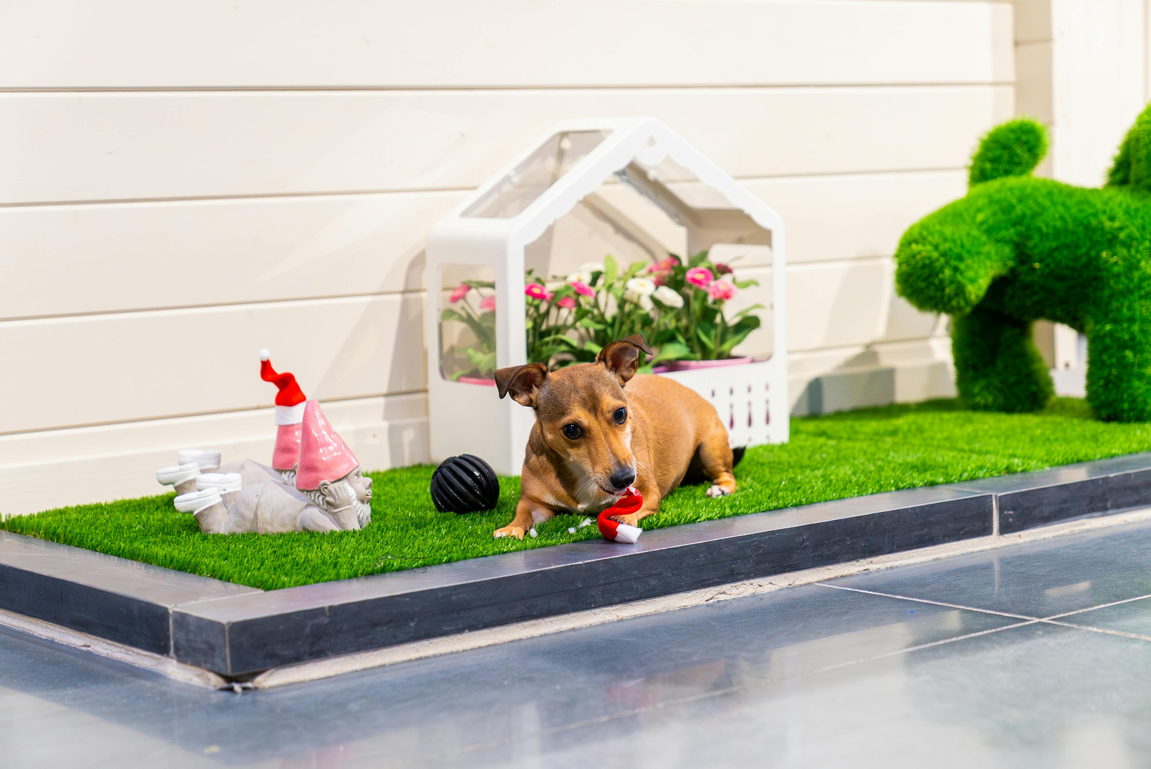 kantoorhond hondenhok hout LSB