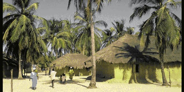 Houses and palm trees