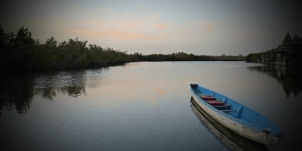 Boat on The gambia river