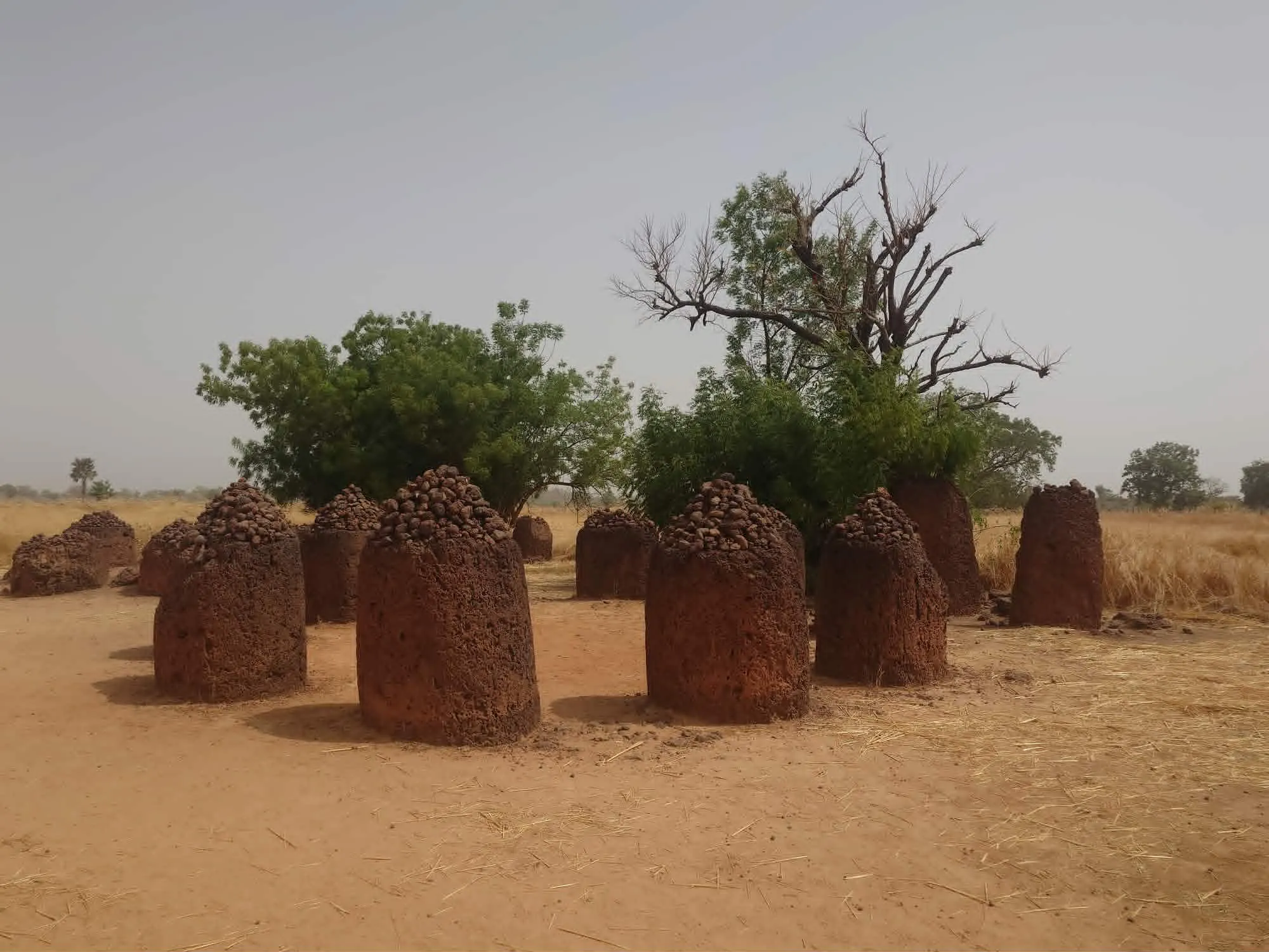 Wassu Stones