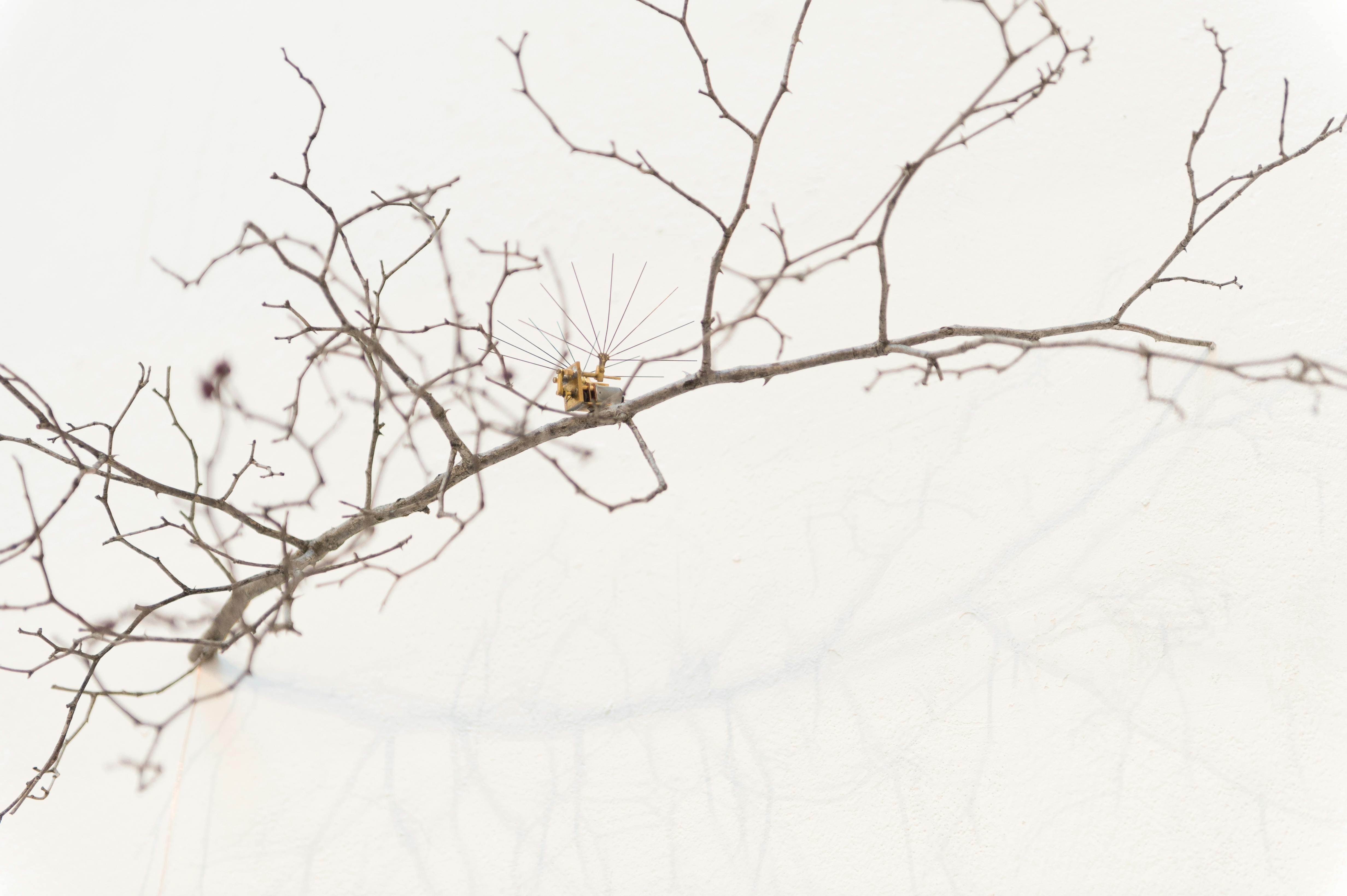 © 2019 Verena Gotthardt