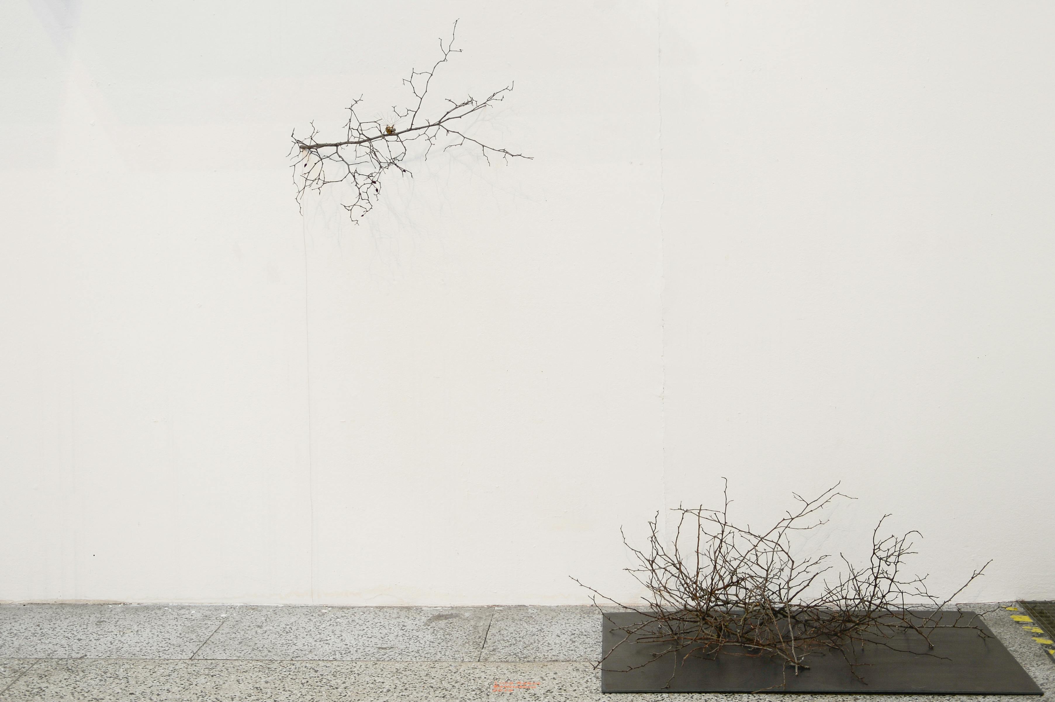 © 2019 Verena Gotthardt