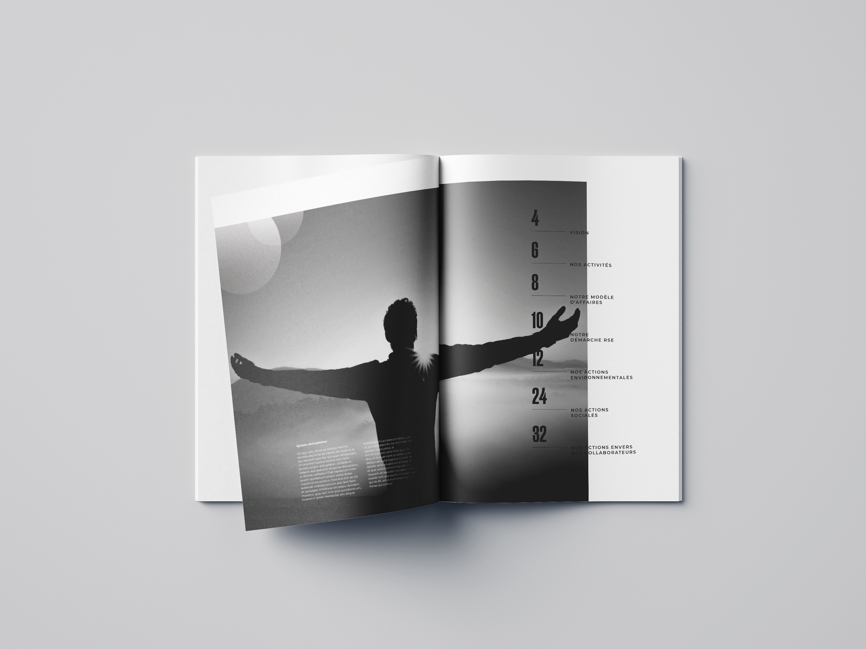 Image non disponible