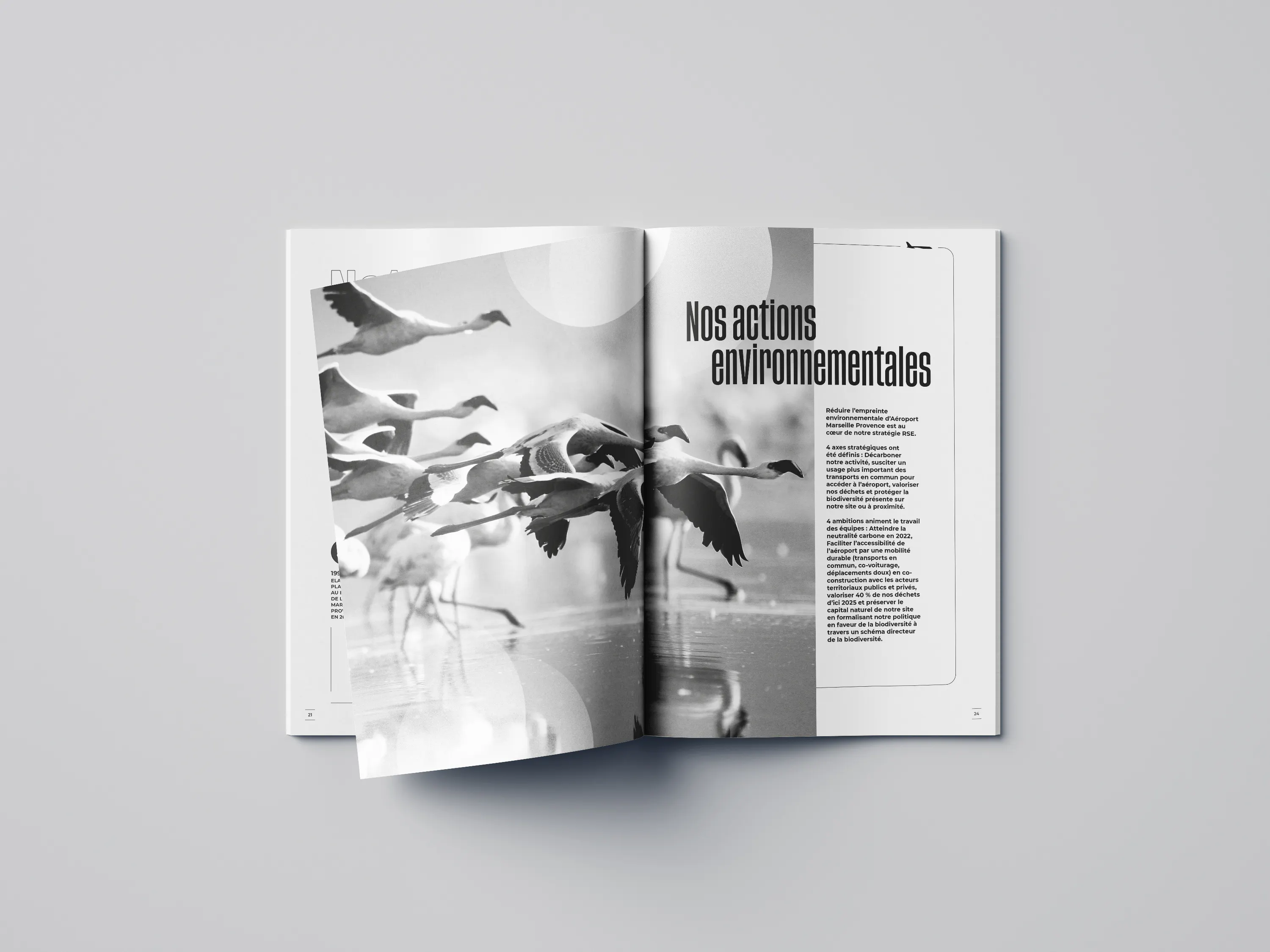 Image non disponible